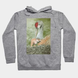 Sandhill crane newcomer Hoodie